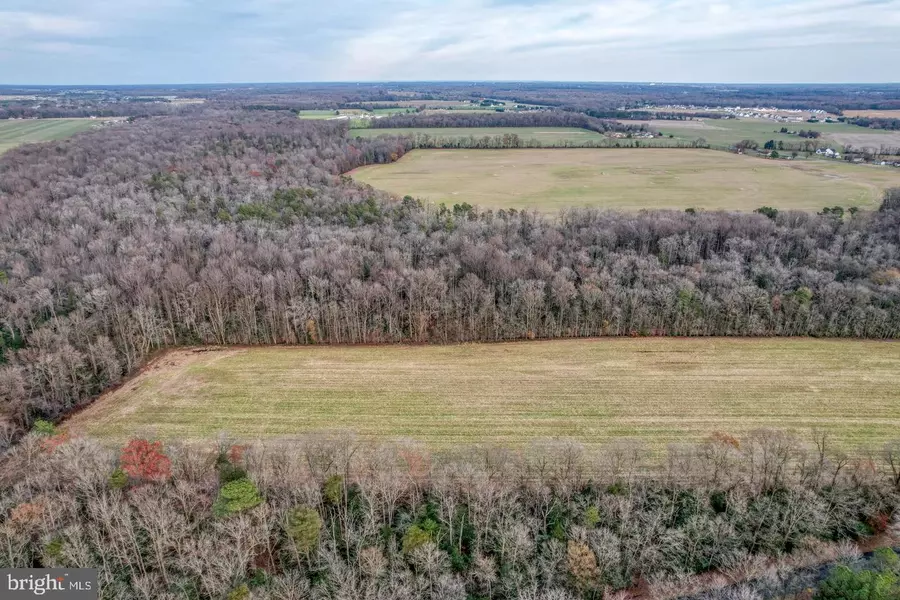 2.75 ACRES HUNTING QUARTER RD, Houston, DE 19954