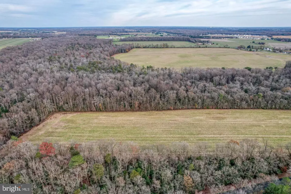 Houston, DE 19954,2.75 ACRES HUNTING QUARTER RD