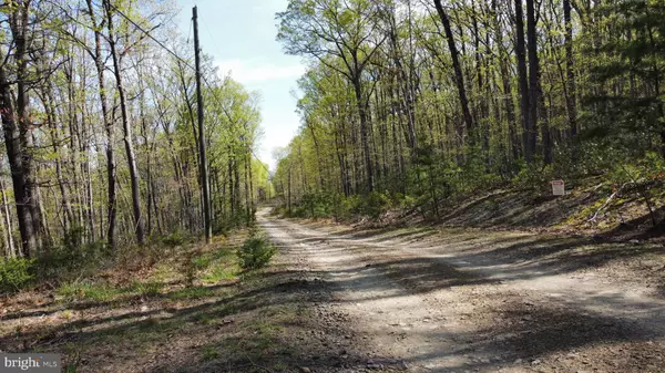 Wardensville, WV 26851,LOT 12 PHASE 3 PINE RIDGE EXT