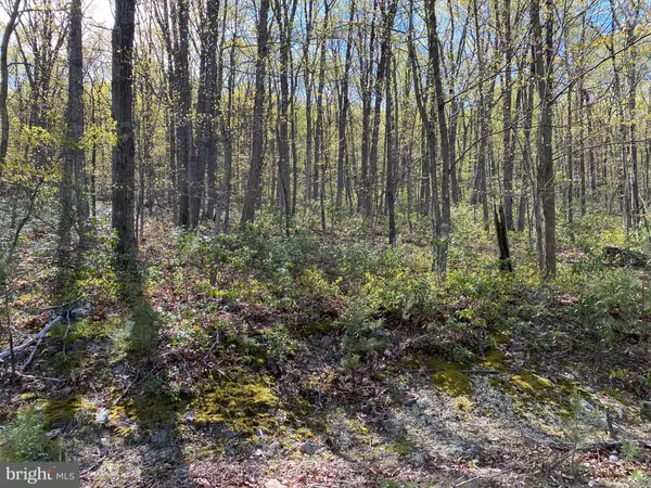 Wardensville, WV 26851,LOT 12 PHASE 3 PINE RIDGE EXT