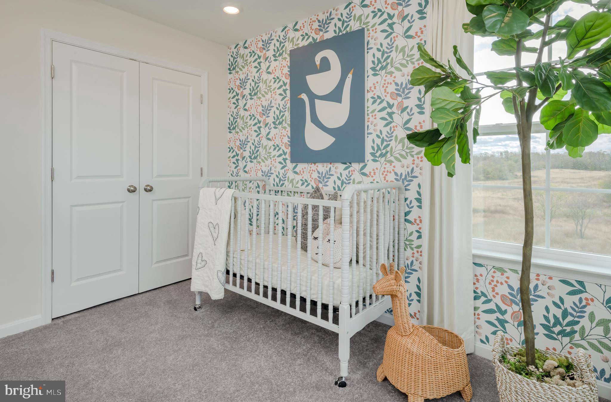 Jeffersonton, VA 22724,19136 ISABEL BLVD #SAVANNAH # 2162