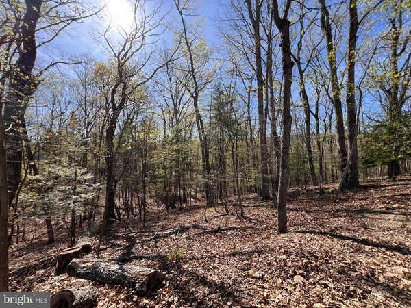 LOT 5 WHISTLER LANE, Hedgesville, WV 25427