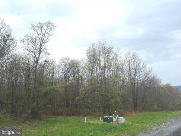 Everett, PA 15537,LOT #11 RIDGE WAY DRIVE