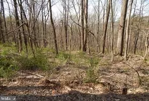 LOT 1 SPICY CEDAR LANE, Berkeley Springs, WV 25411