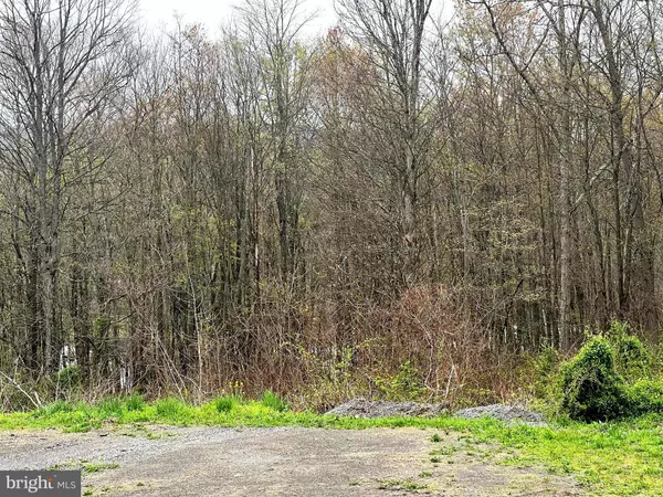 Everett, PA 15537,LOT # 13 RIDGE WAY DRIVE