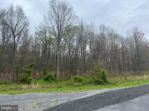 Everett, PA 15537,LOT #14 RIDGE WAY DRIVE