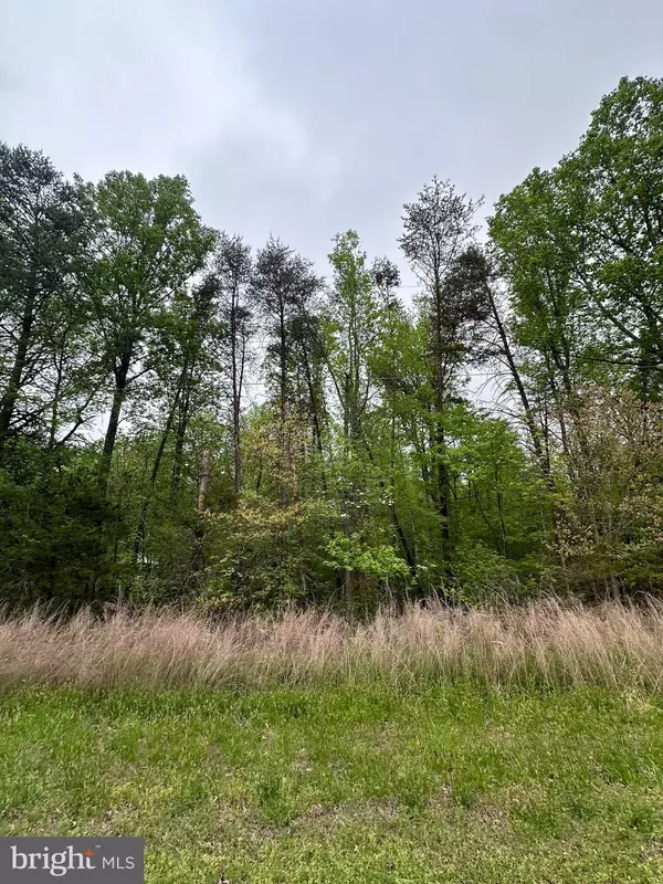 Bumpass, VA 23024,LOT 11 PLUM TREE CIR