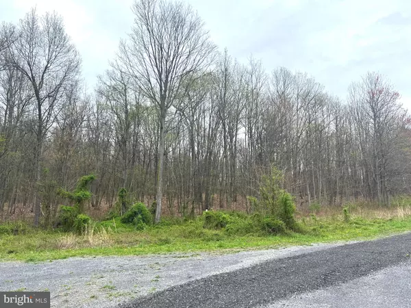 Everett, PA 15537,LOT # 19 RIDGE WAY DRIVE