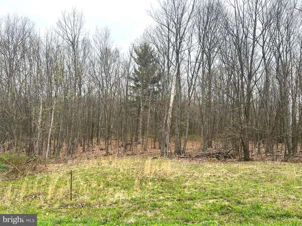 Everett, PA 15537,LOT #21 RIDGE WAY DRIVE