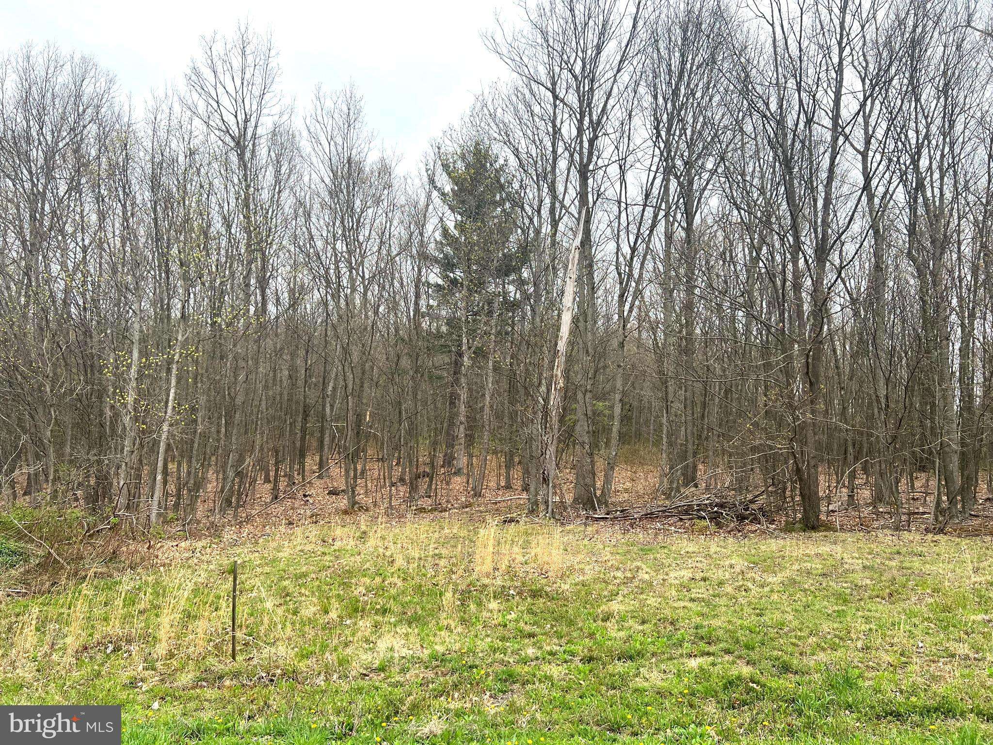 Everett, PA 15537,LOT #20 RIDGE WAY DRIVE