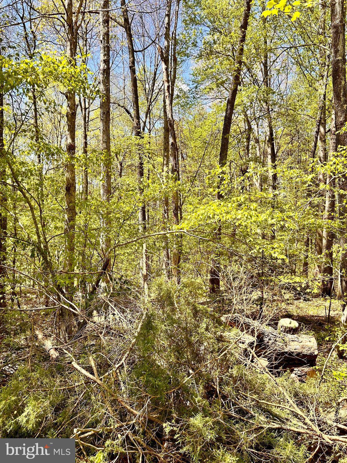 Unionville, VA 22567,INDIAN TRACE TRL