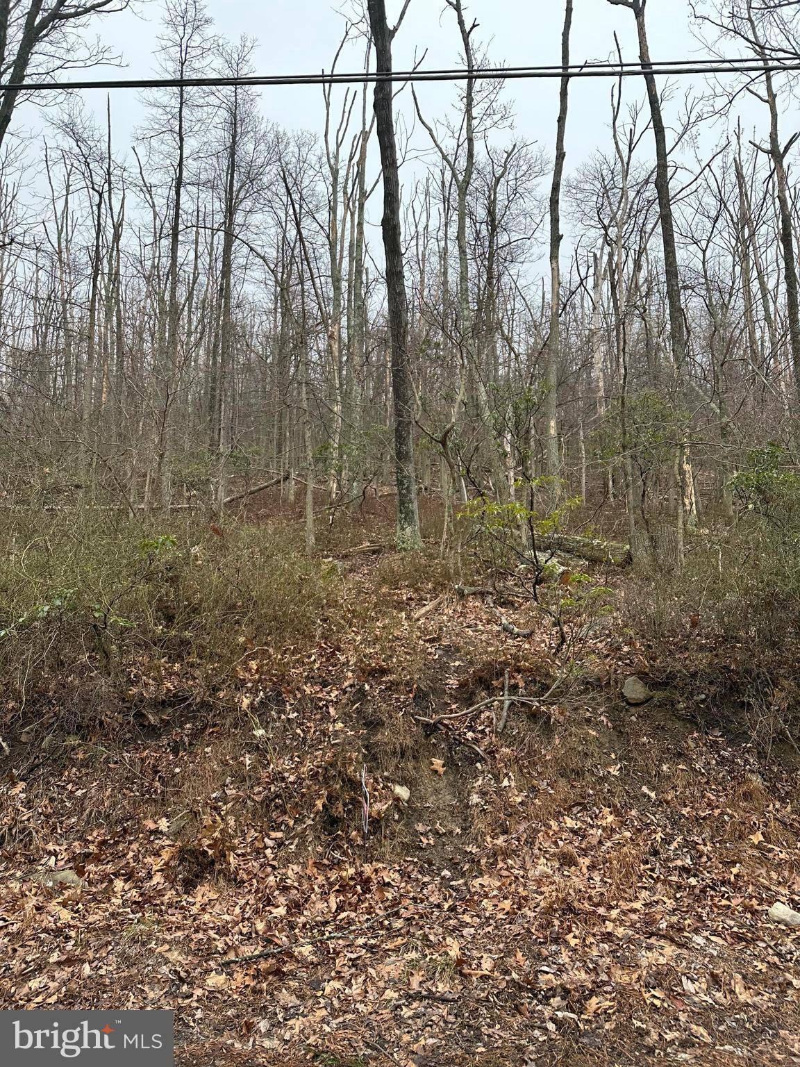 Harpers Ferry, WV 25425,LOT 4 WREN LN