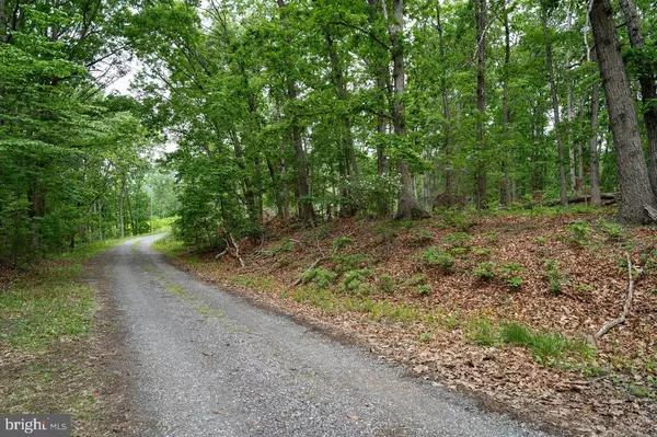 Stanley, VA 22851,LOT 44 N VIEW DR