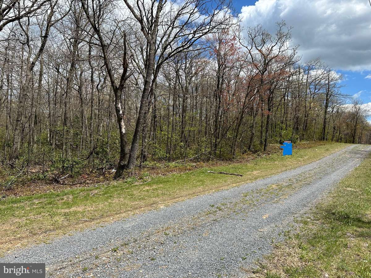 Winchester, VA 22602,LOT 85 ASHWOOD TRAIL