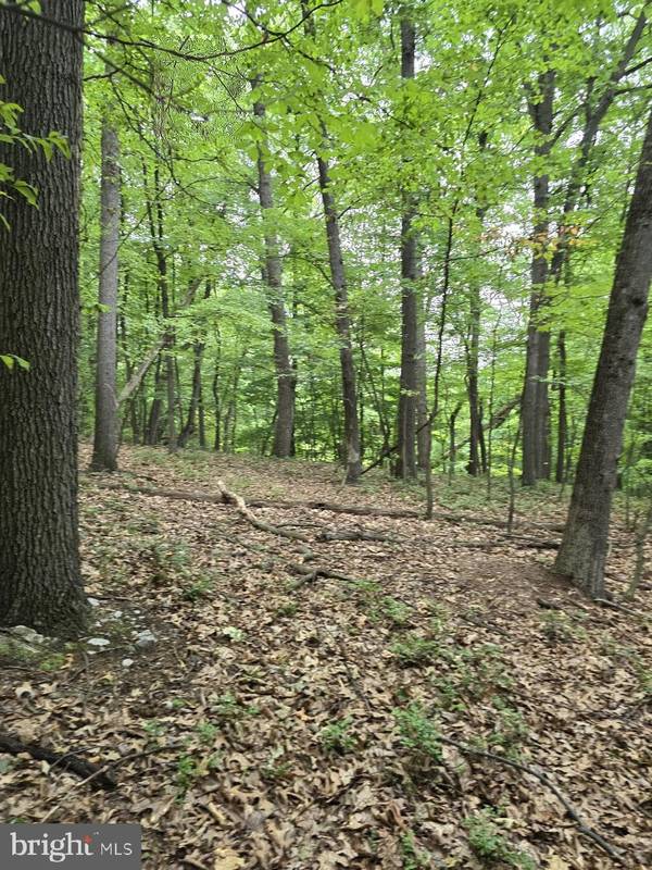 0 S MOUNTAIN RD, Dillsburg, PA 17019