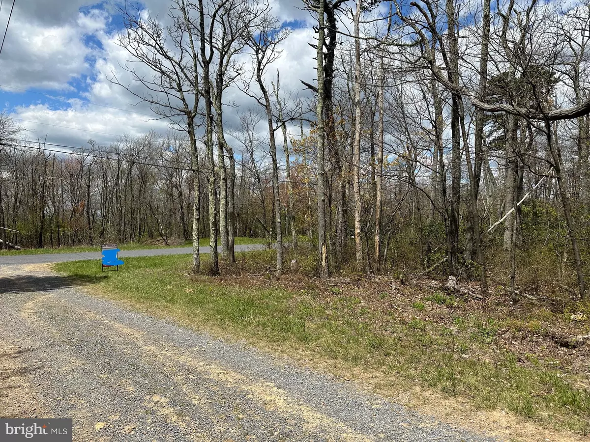 Winchester, VA 22602,LOT 102 BOW WOOD TRAIL