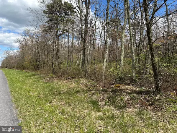 Winchester, VA 22602,LOT 102 BOW WOOD TRAIL