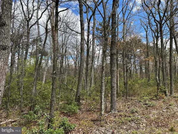 Winchester, VA 22602,LOT 102 BOW WOOD TRAIL