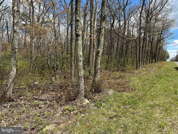 Winchester, VA 22602,LOT 102 BOW WOOD TRAIL