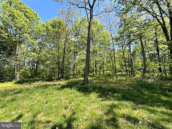 Martinsburg, WV 25405,LOT 7 ROPP DR