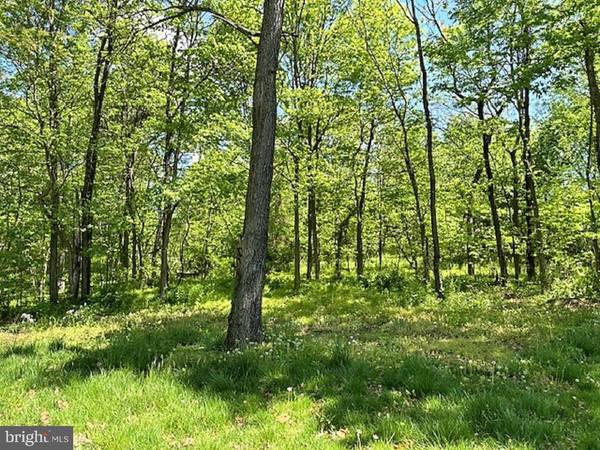 Martinsburg, WV 25405,LOT 7 ROPP DR