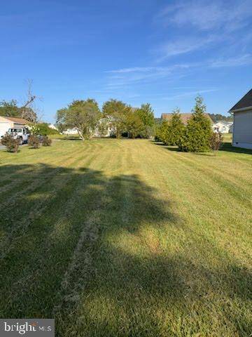 LOT 123 PIKE DR, Greenbackville, VA 23356