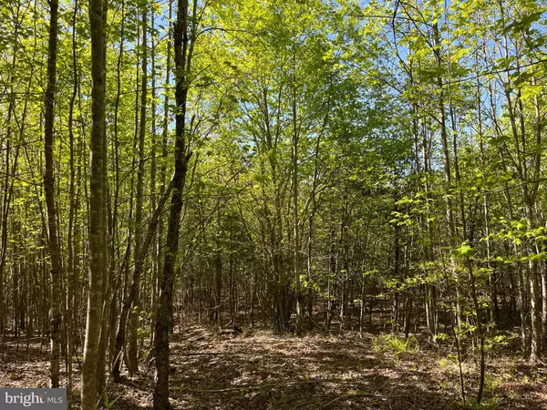 Hurt, VA 24563,6329 BLUE RIDGE DRIVE