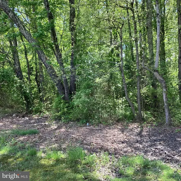 2127 MOUNT OLIVE RD, Beaverdam, VA 23015