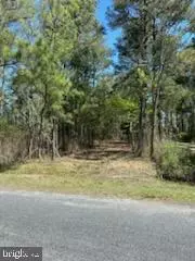 Crisfield, MD 21817,LOT DAUGHERTYTOWN ROAD DAUGHERTYTOWN RD