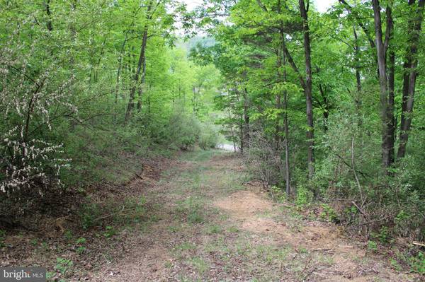 10.172 AC PROCTOR RD, Purgitsville, WV 26852