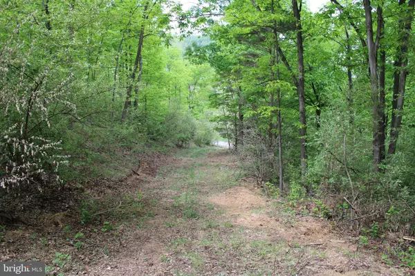 10.172 AC PROCTOR RD,  Purgitsville,  WV 26852