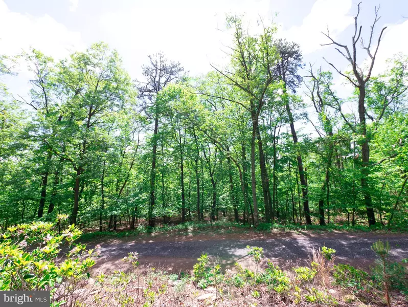 LOT 15 FOX TRL, Winchester, VA 22602