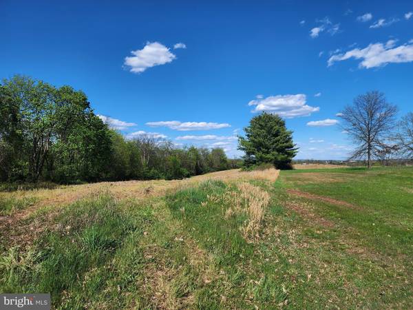 York Springs, PA 17372,LOT 12.79 ACRES LINDY AVE