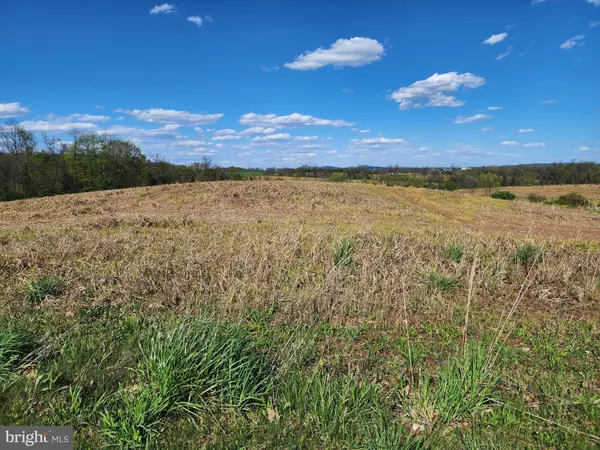 York Springs, PA 17372,LOT 12.79 ACRES LINDY AVE