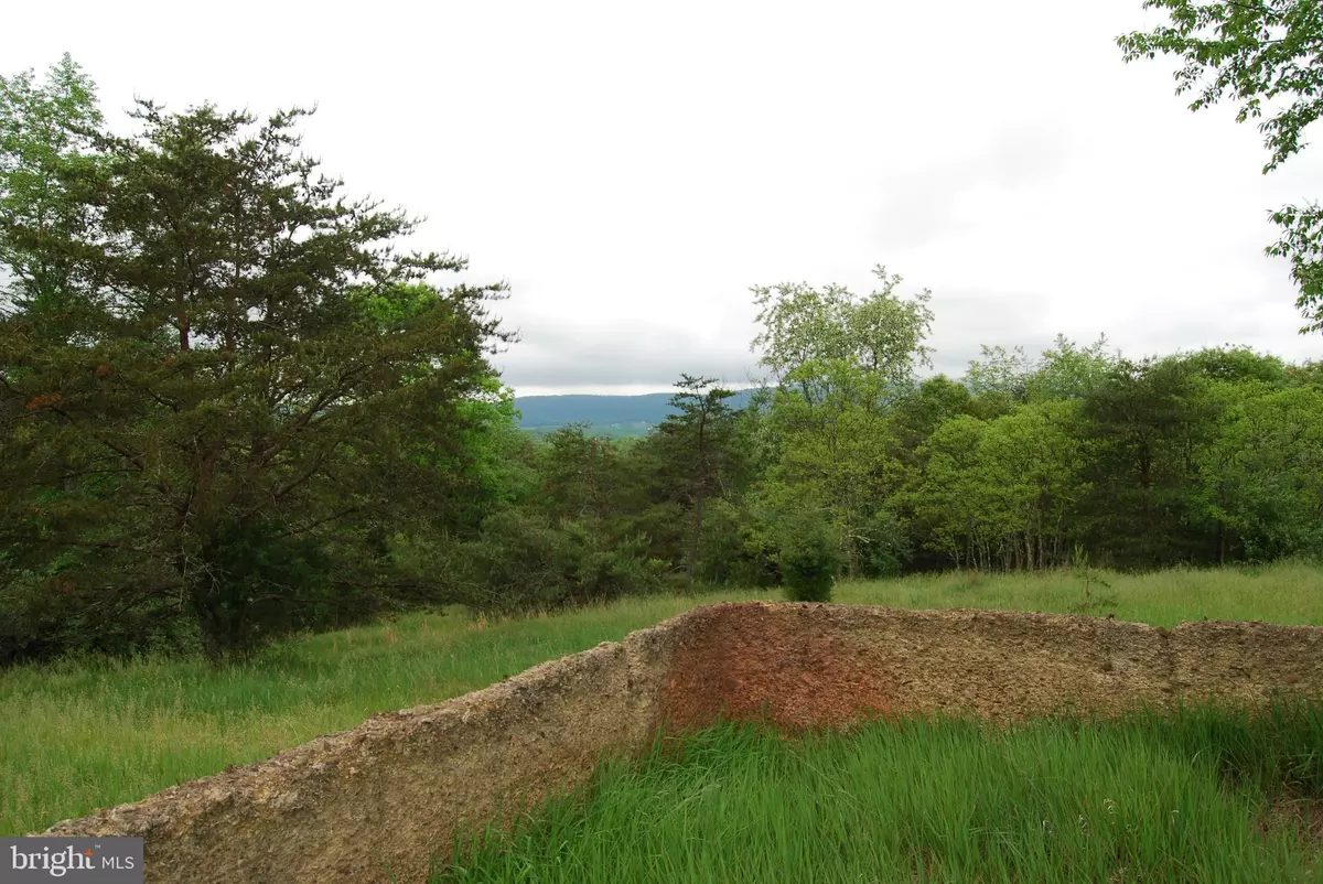 Gerrardstown, WV 25420,LOT 3 JENKINS RD