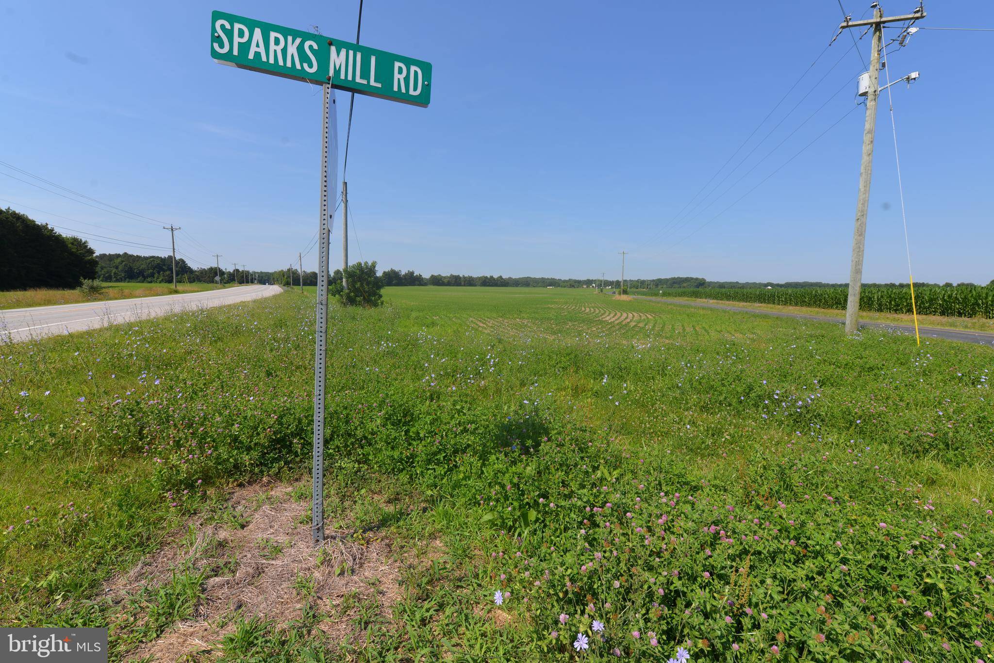 SPARKS CORNER SPARKS MILL AT ROUTE 213 RD, Centreville, MD 21617