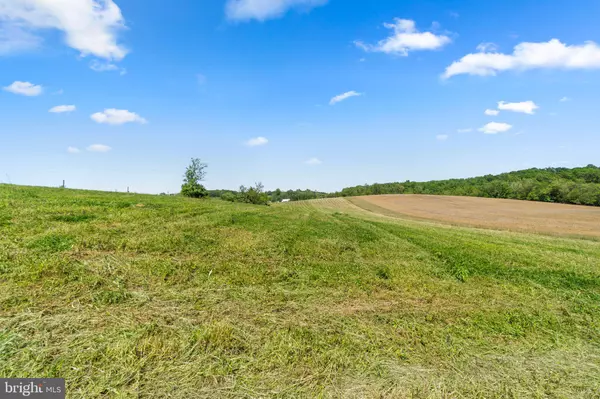 Westminster, MD 21158,BROWN FARM REMAIN PORTION CROSS SECTION RD (NEAR 2341 CROSS SECTION RD)