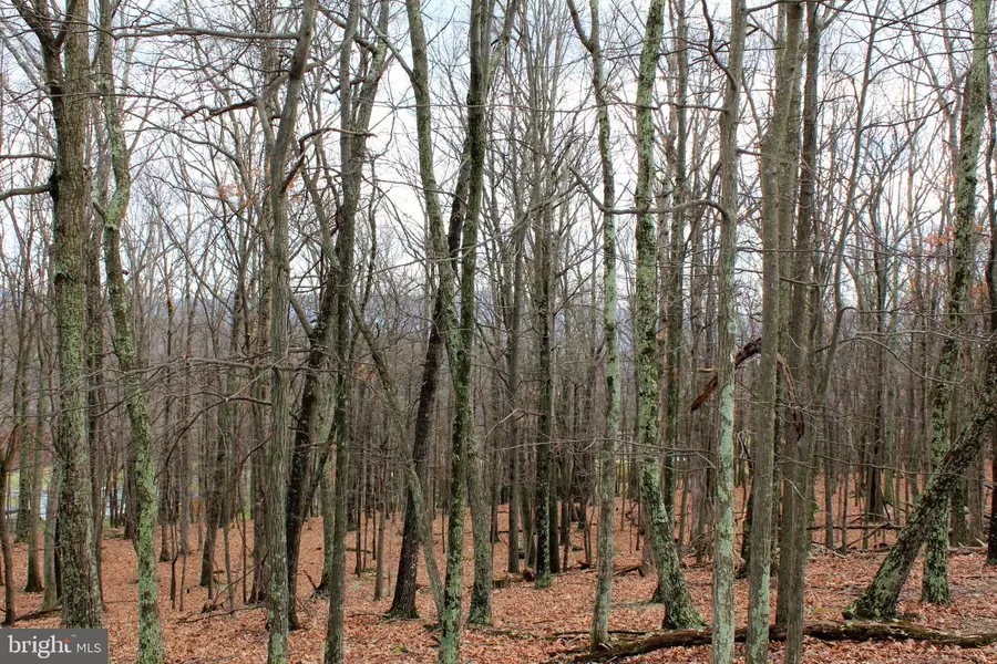 LOT 39 BERENGER DR, Petersburg, WV 26847