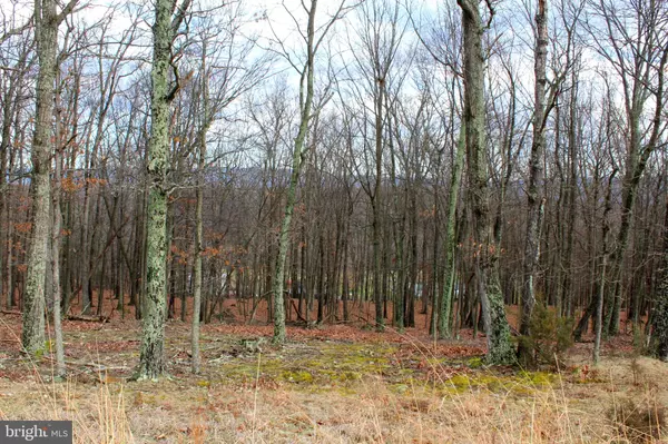 Petersburg, WV 26847,LOT 39 BERENGER DR