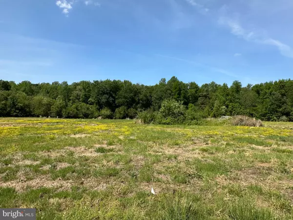 Preston, MD 21655,LOT 3, BRUNKHORST RD