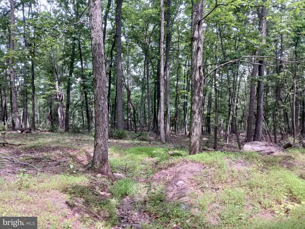 Paw Paw, WV 25434,LOT 6 WILD APPLE LN