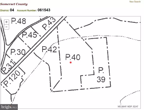 Pocomoke, MD 21851,7937 DIVIDING CREEK