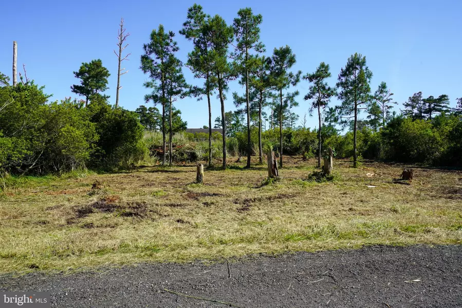 LOT 19E OAK DR, Chincoteague Island, VA 23336