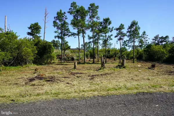 LOT 19E OAK DR, Chincoteague Island, VA 23336