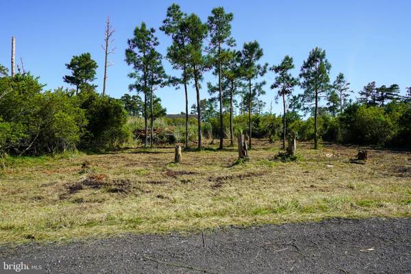 LOT 19E OAK DR, Chincoteague Island, VA 23336