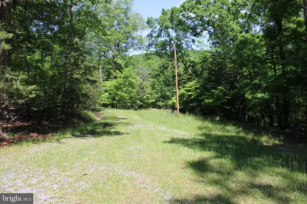 Springfield, WV 26763,LOT 8 KING CT