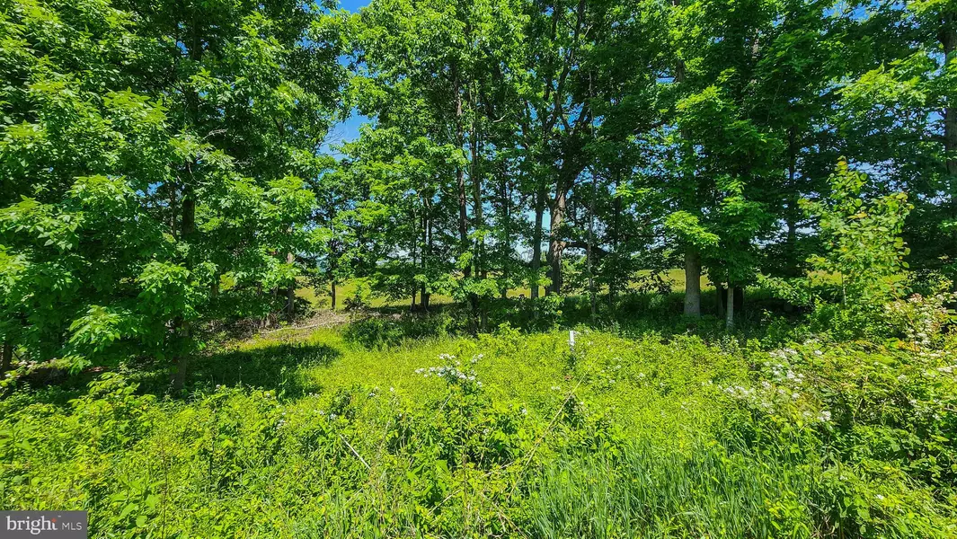 LOT 31 MAGNOLIA CT, Ridgeley, WV 26753