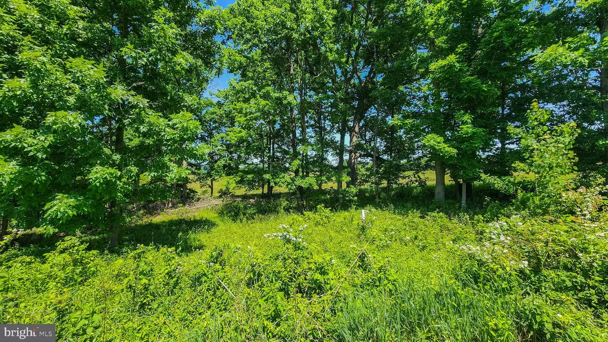 Ridgeley, WV 26753,LOT 31 MAGNOLIA CT