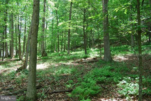 LOT 13 PLEASANT DALE LN, Great Cacapon, WV 25422