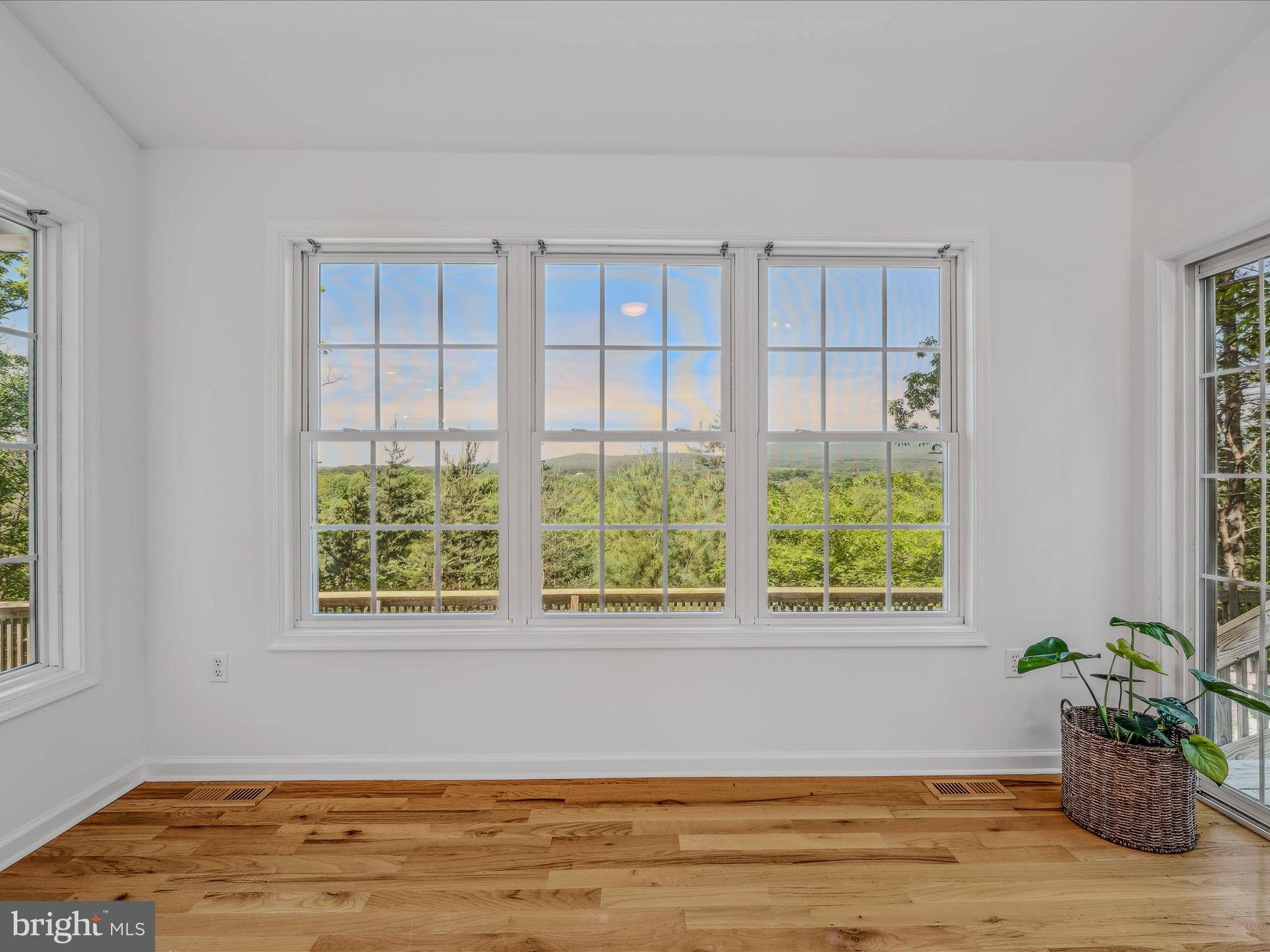 Gerrardstown, WV 25420,327 BLUFF TRL